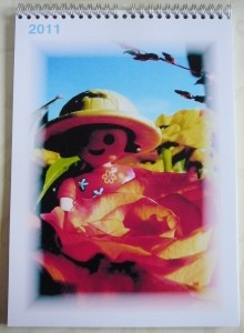 K-Titel2011.jpg