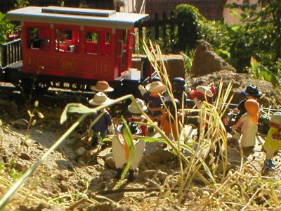 P1014175.JPG