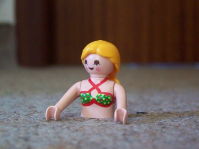 100_5249.JPG