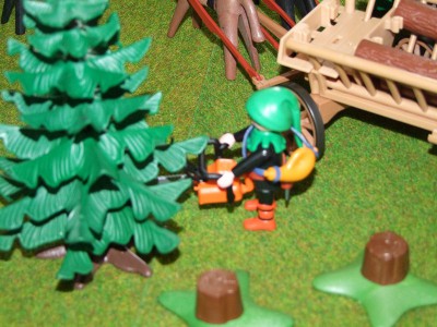 DSCF8613.JPG (124.87 KiB) 2150 mal betrachtet DSCF8613.JPG