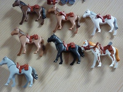 P1020631.JPG