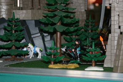 Playmobil 07.08.11 041.JPG