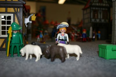 Playmobil 07.08.11 048.JPG