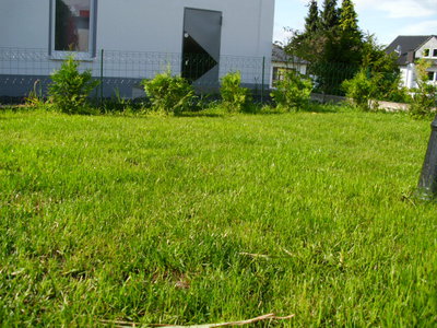 DSCI0079.JPG