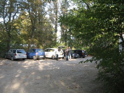 IMG_3323.JPG
