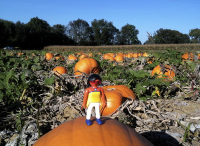 herbst1.jpg