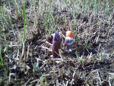 73.jpg (204.36 KiB) 1479 mal betrachtet 73.jpg