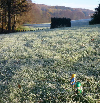 12.11.044.JPG