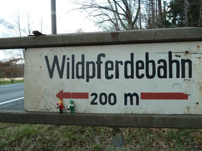 Wildpferde-1.jpg