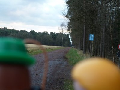 Wildpferde-4.jpg