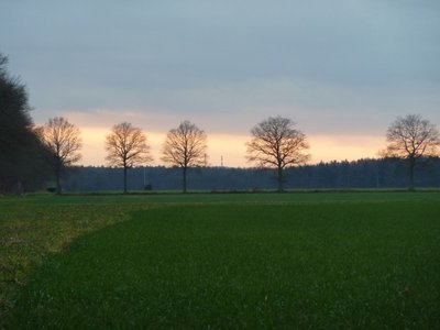 Spaziergang-1.jpg