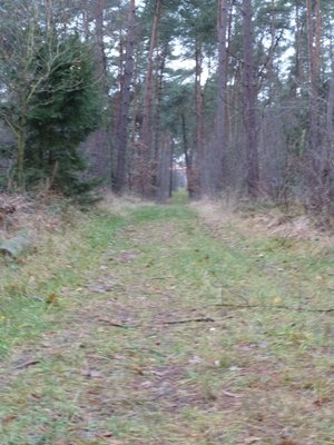 Spaziergang-3.jpg