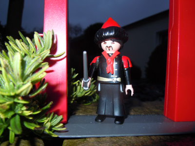 Wichtelbilder 2011 012.jpg