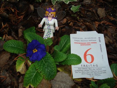 Primel05a.jpg (180.1 KiB) 8589 mal betrachtet Primel05a.jpg