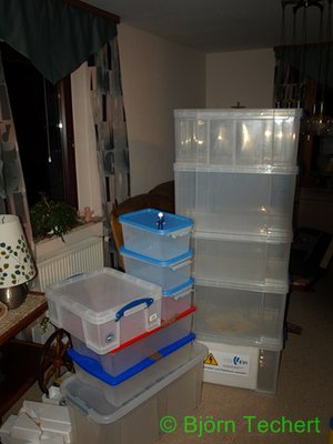 20120119_006.JPG