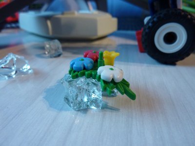 P1030822 [800x600].jpg