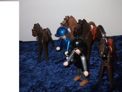 DSCF5127.JPG
