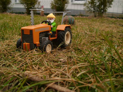 DSCI0649.JPG