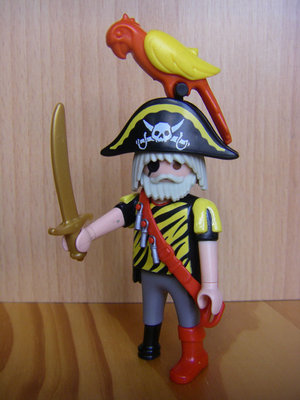 Piraten-Invalid2.jpg