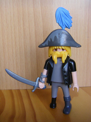 Piraten-Invalid1.jpg