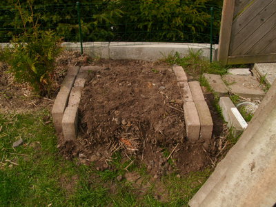 DSCI0808.JPG