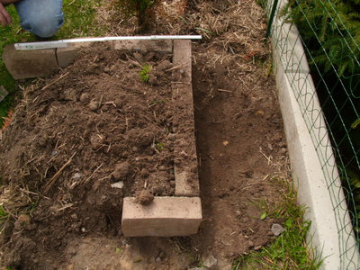 DSCI0807.JPG