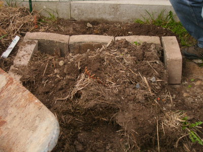 DSCI0806.JPG