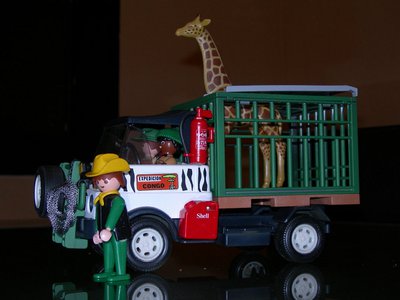 SAFARI RED III.jpg