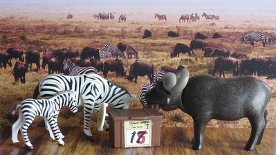 zebras.JPG