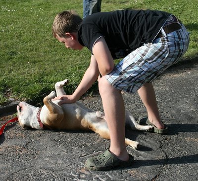 Hund.JPG