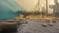 DSC08807.JPG