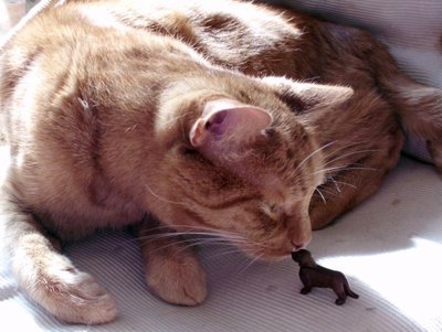 12_06_felix_purzel.JPG