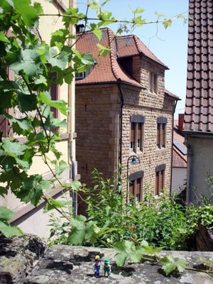 06_felix_w_gleis1.jpg