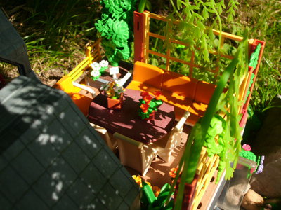 DSCI1276.JPG