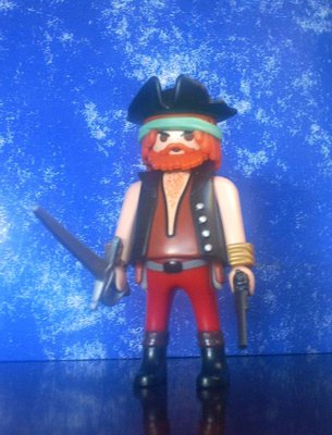 july pirate b.JPG
