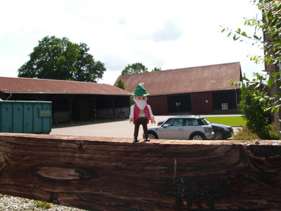 DSCI1521.JPG