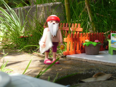 DSCI1871.JPG (191.46 KiB) 2250 mal betrachtet DSCI1871.JPG