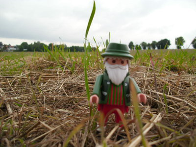 DSCI2090.JPG (191.79 KiB) 1075 mal betrachtet DSCI2090.JPG