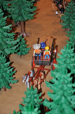 DSC_2020.jpg
