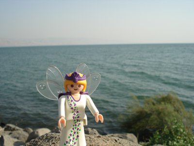 xDsc06194.jpg