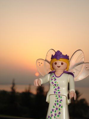 xDsc06019.jpg