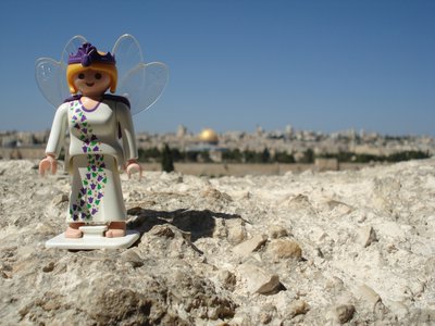 xDsc04882.jpg