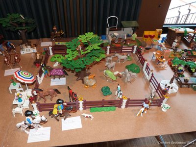 P1020433.jpg