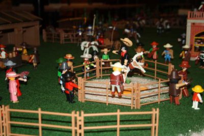 IMG_3600.JPG