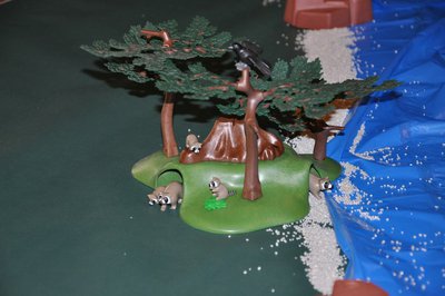 DSC_1931.JPG