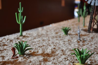 DSC_2105.JPG