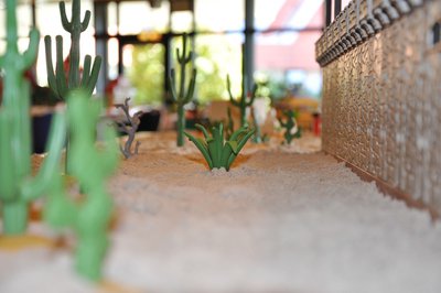 DSC_2180.JPG