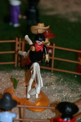 IMG_8294.jpg
