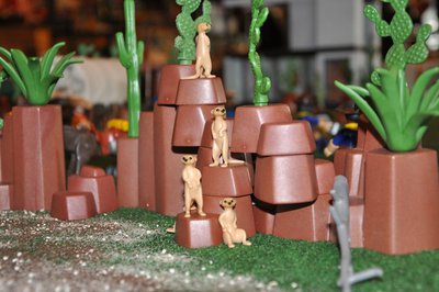 DSC_1966.JPG