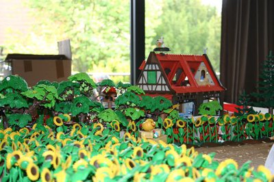 IMG_8225.jpg